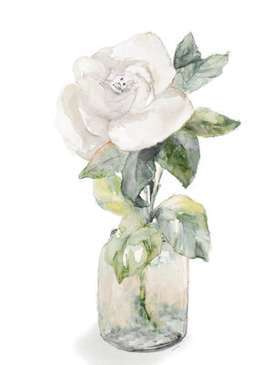 Image Not Available